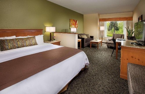 Radisson Hotel Portland Airport - image 11