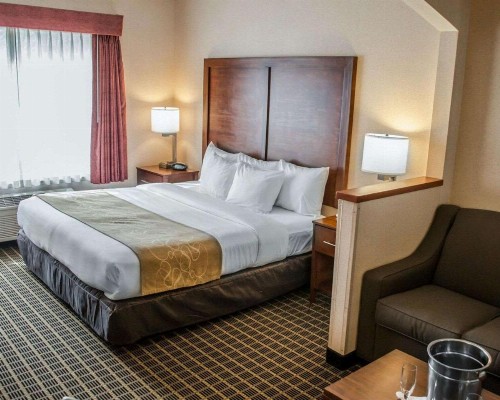 Comfort Suites Southwest - image 10