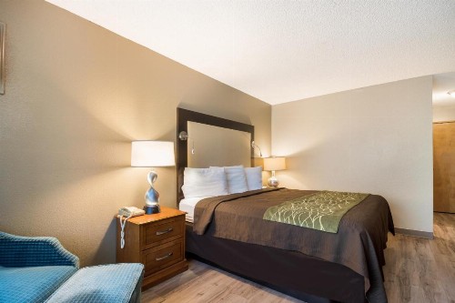 Rodeway Inn & Suites Hwy 217 & 26 W - image 15