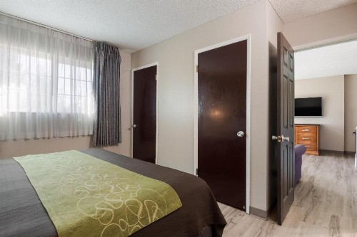 Rodeway Inn & Suites Hwy 217 & 26 W - image 4