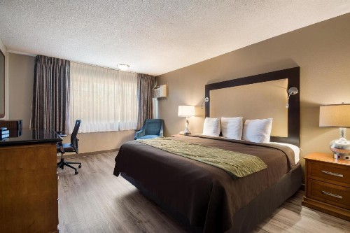 Rodeway Inn & Suites Hwy 217 & 26 W - image 7