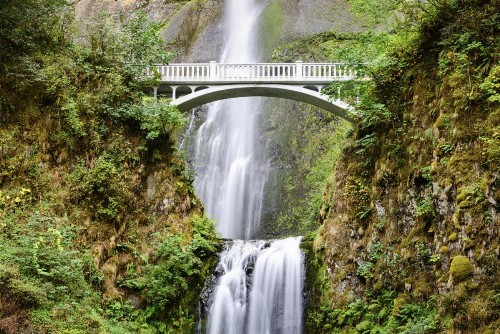 Silver Cloud Hotel - Portland - image 10