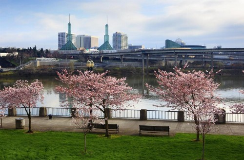 Silver Cloud Hotel - Portland - image 3