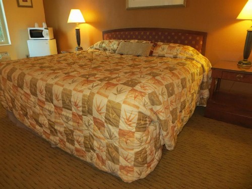 Cameo Motel - Portland - image 13