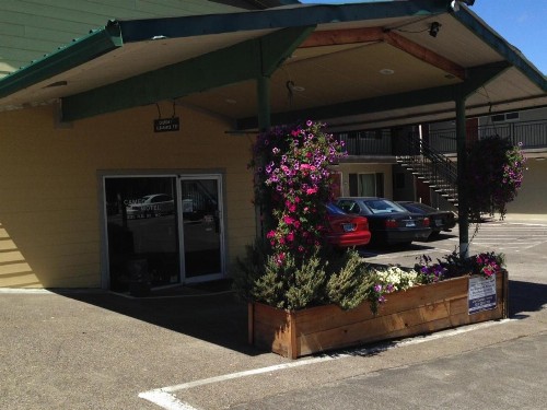 Cameo Motel - Portland - image 35