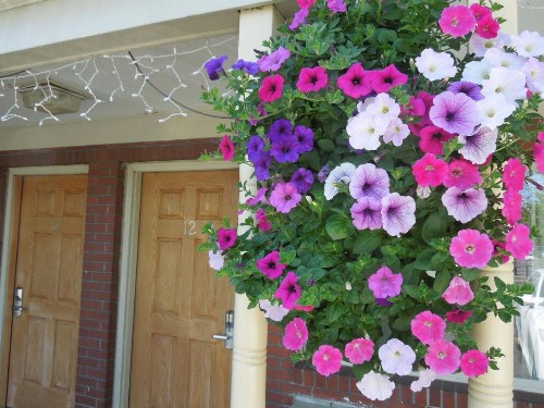 Monticello Motel - image 39