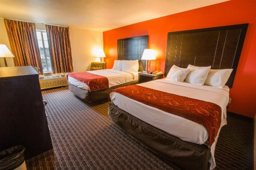 Bridgeway Inn & Suites - Portland Airport - image 6