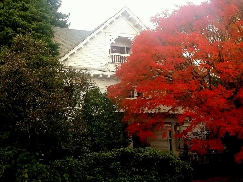Evermore Guesthouse - image 30