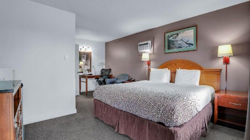 Viking Motel - image 14