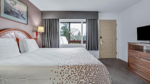 Viking Motel - image 15