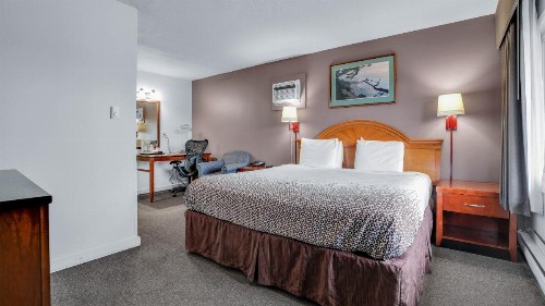Viking Motel - image 43