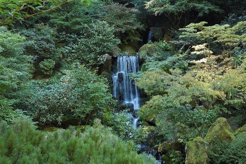 Portland International Guesthouse - image 22