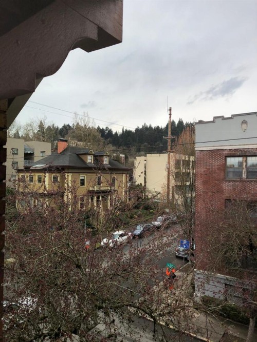 Portland International Guesthouse - image 23