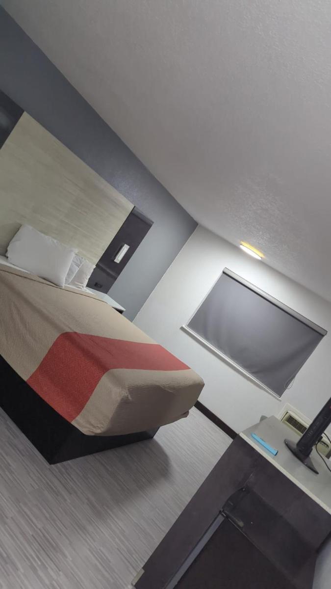 Evergreen Inn & Suites Portland - image 3