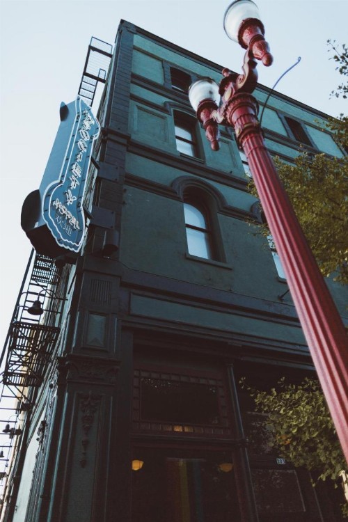 The Society Hotel - image 34