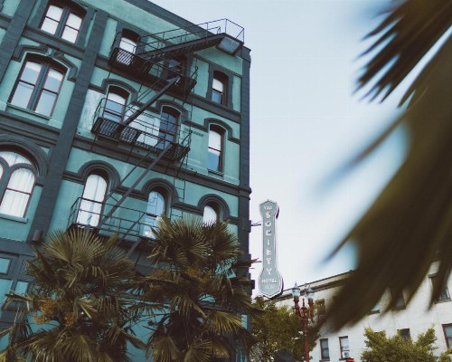 The Society Hotel - image 8