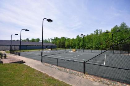Kilmarlic Mickelson - image 5