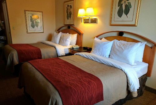 Days Inn Ponderosa Pines - image 16