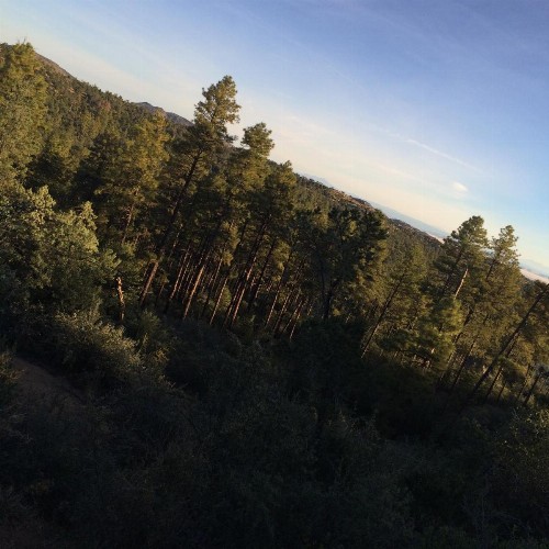 Apple Creek Cottages - image 20