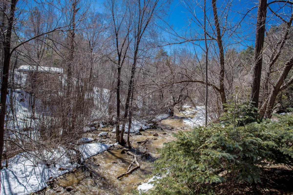 Apple Creek Cottages - image 3