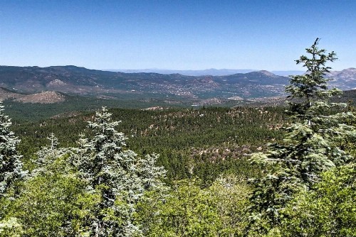 Prescott Forest Cabin on Mtn Dirt Road-8 Mi to DT! - image 5