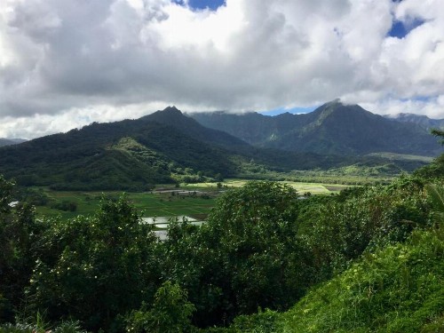 Cliffs at Princeville #7302 - image 10
