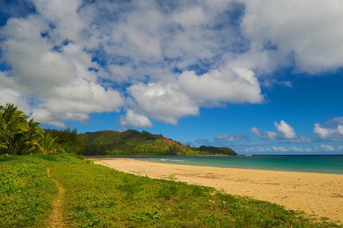 Hanalei Bay Villa #30 - image 6