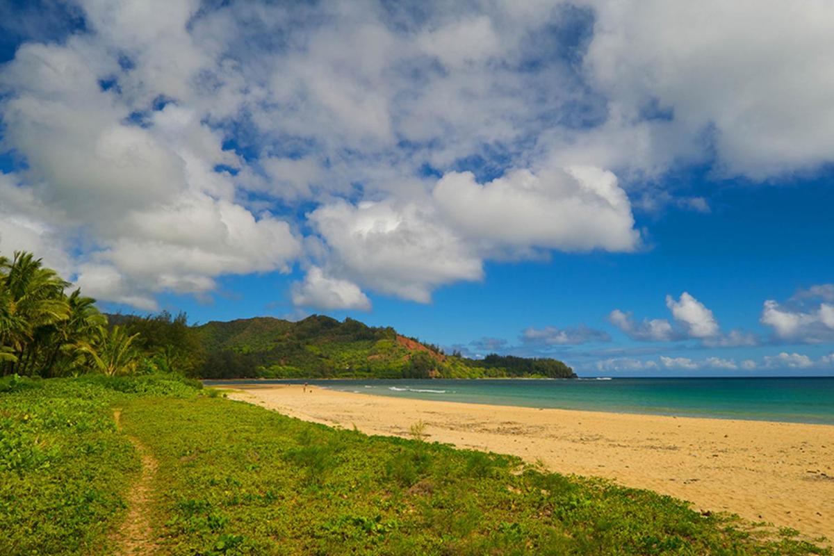 Hanalei Bay Villa #30 - image 6