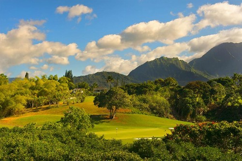 Hanalei Bay Villa #30 - image 9