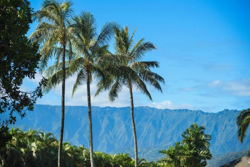 Hanalei Bay Villas #33 - image 8
