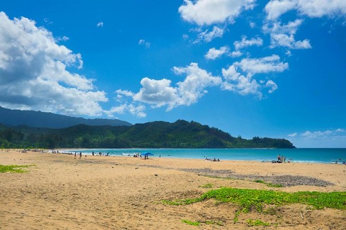 Hanalei Bay Villas #33 - image 9