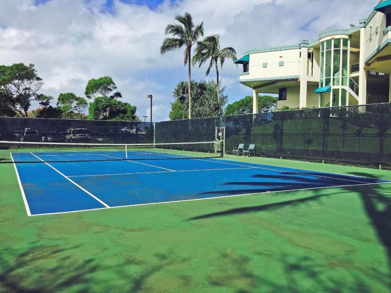 Puu Poa 101 - image 2