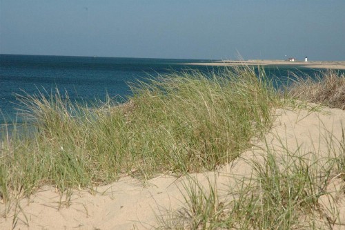 Anchor Inn Beach House - image 27
