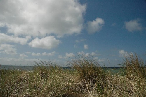 Anchor Inn Beach House - image 40