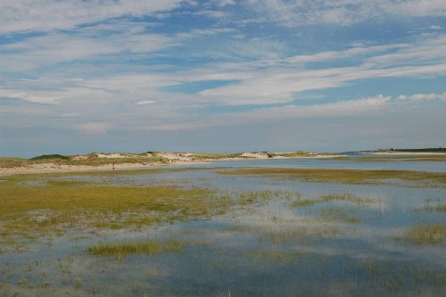 Anchor Inn Beach House - image 42