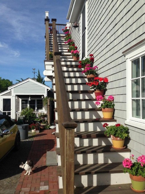 Revere Guest House - image 37