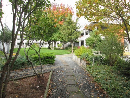 Eastwood at Provincetown - image 10