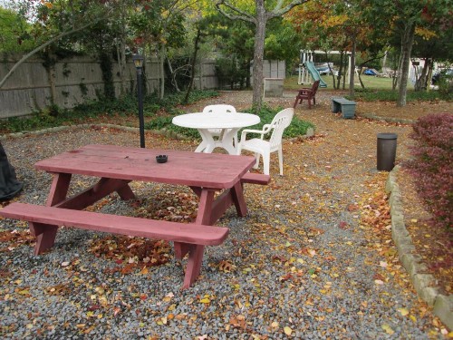 Eastwood at Provincetown - image 11