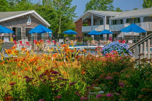 Eastwood at Provincetown - image 42