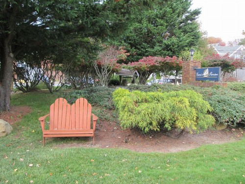 Eastwood at Provincetown - image 8