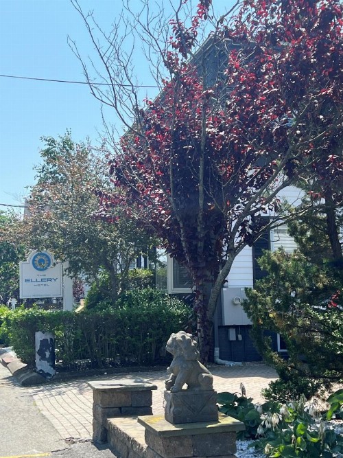 Carpe Diem Guesthouse & Spa