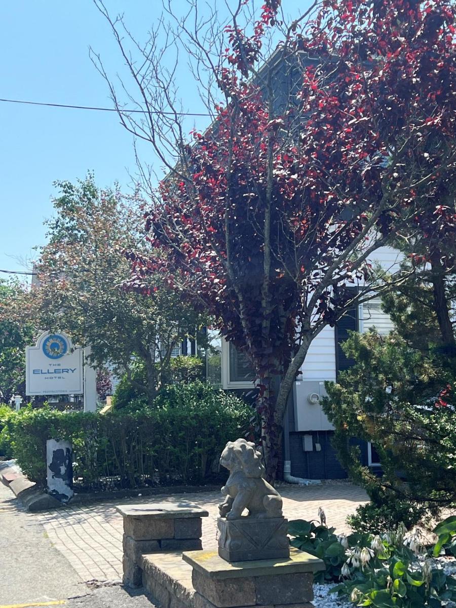 Carpe Diem Guesthouse & Spa - main image