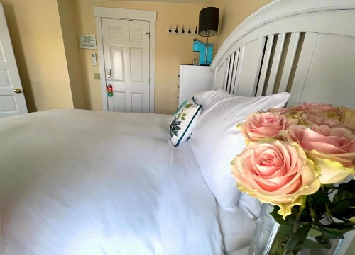 Lotus Guest House - image 25