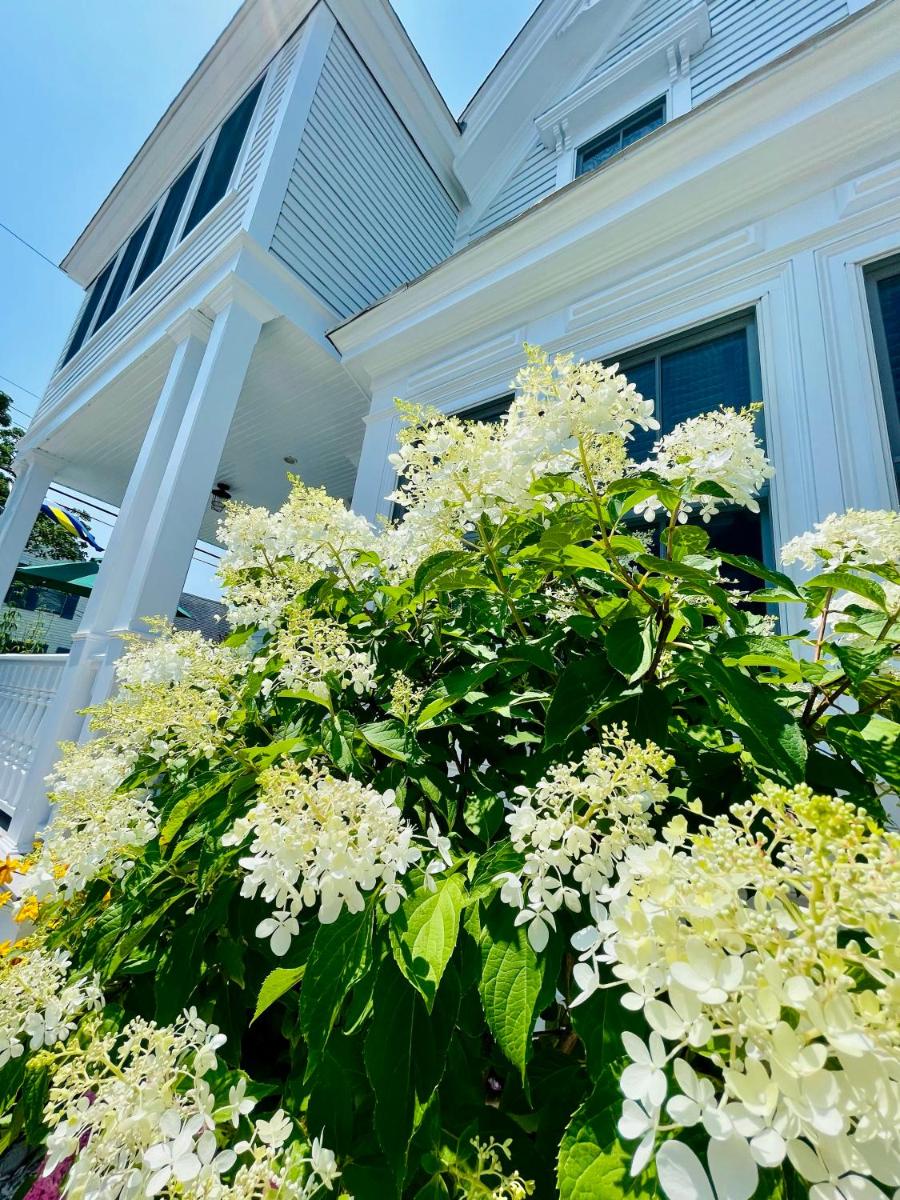 White Porch Inn - image 3