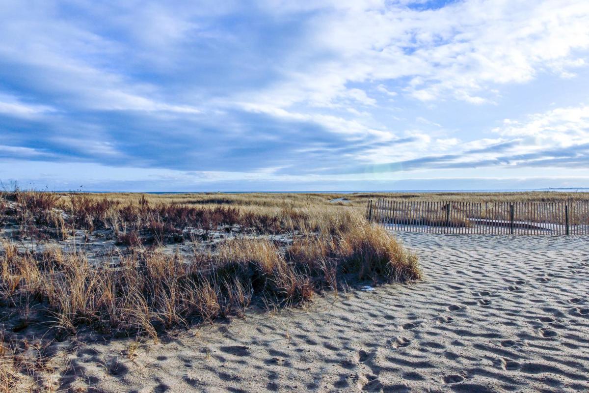 The Place to be... - image 7