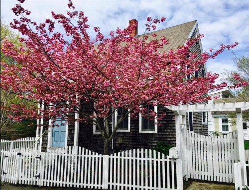 143 5 Min Walk to Water and Downtown Historic District 2 Parking Spaces Gas Fireplace Private Patio and Yard Air Conditioning