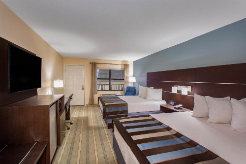 Baymont by Wyndham Punta Gorda/Port Charlotte - image 33