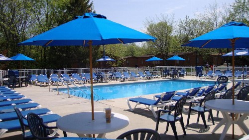 Island Club #2 - image 4