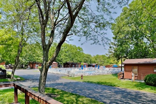 Island Club #13 - image 6