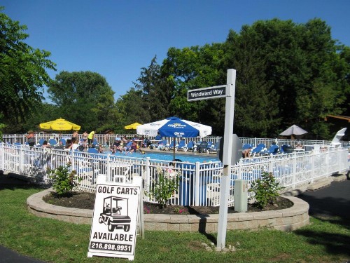 Island Club #80 - image 19